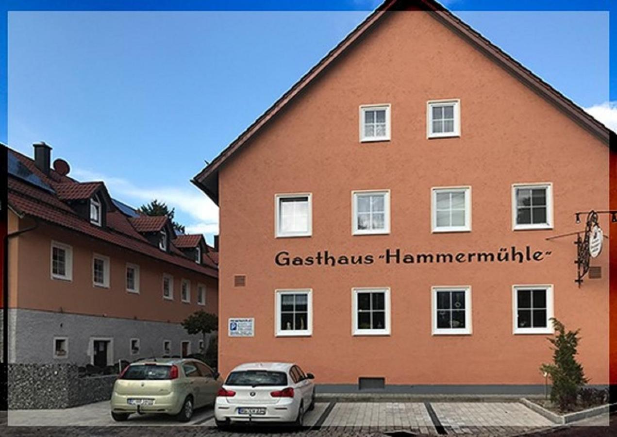 Landgasthof-Hotel Hammermuehle Donaustauf Esterno foto